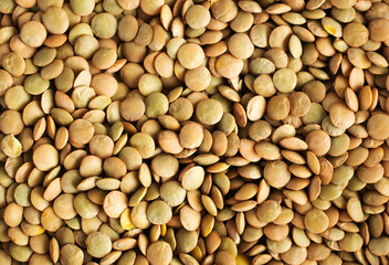 Lentejas Macro para fondo