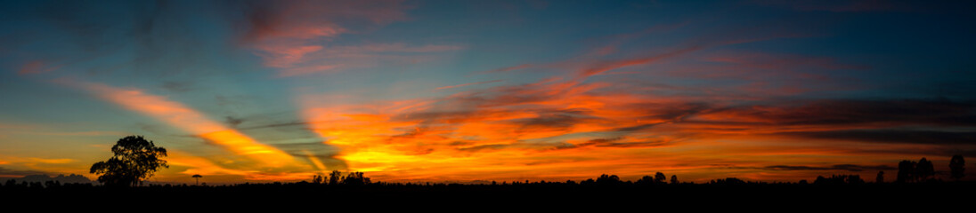 Panorama  beautiful Sunset with dramatic sky clouds.Sunrise with cloud over rice field.Vivid sky on dark clouds.Long shots photo background for use.