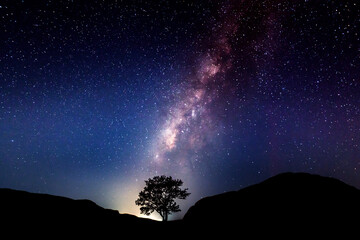 Milky Way and tree on the hill. Old tree growing out of the mountain against night starry sky with...