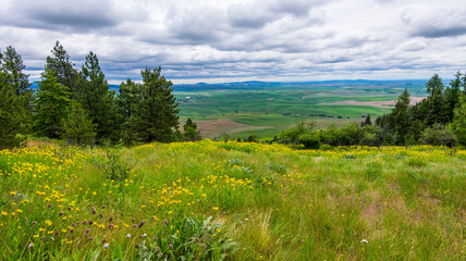 Kamiak Butte County Park near Pullman, Washington