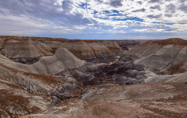 Panoramic View of Petrified Dunes in Petrified Forest National Park