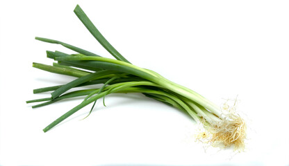 Spring Onion
