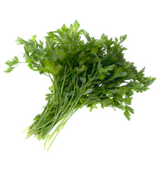 Coriander