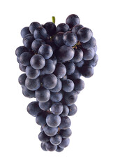Grape isolated on white background.