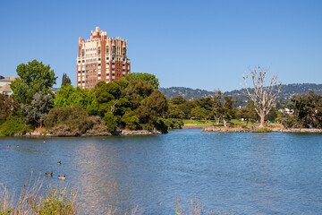Picturesque park with the view Merritt Lake, Oakland, California
