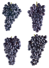 Grape isolated on white background.