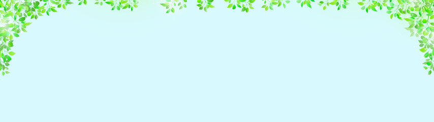 新緑の優しい木漏れ日の背景