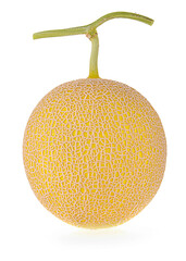 cantaloupe melon on white background