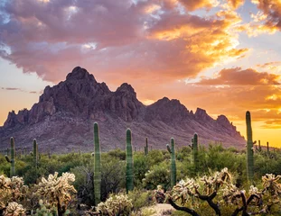 Papier Peint photo autocollant Arizona Coucher du soleil de désert au-dessus des crêtes de montagne déchiquetées