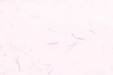 abstract light pink and white colors background for design