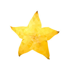 polygonal carambola starfruit icon, vector illustration