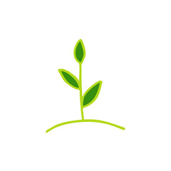 plant doodle icon, vector illustration