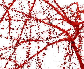 splashes of blood
