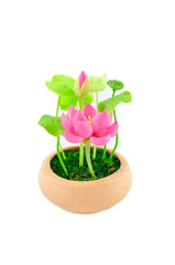 Miniature Plastic Flowers in a Pot Isolated on White
