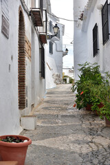 Fototapeta premium beautiful white village, Frigiliana, Spain 