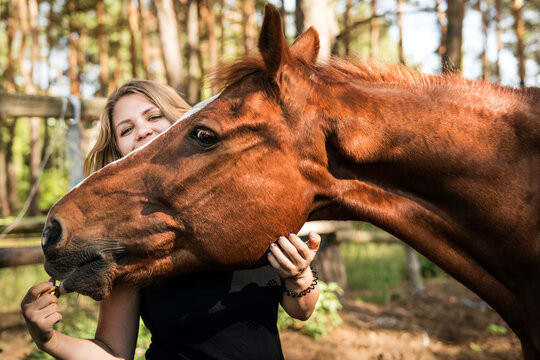 Closeup portrait of a young girl and a horse brown. A woman hugs the horse's face and it reaches for her hand. Friendship between a horse and a man. Confidence. Love and understanding