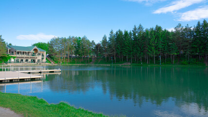Fototapeta na wymiar Beautiful lake greenery with blue sky