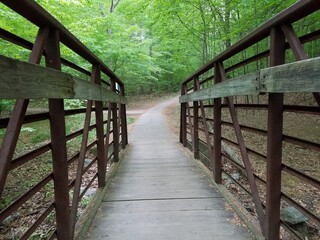 brdige with railing and trees with green leaves and trail