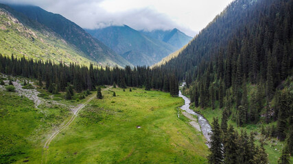 Areal view of river, green field and forest in mountains.