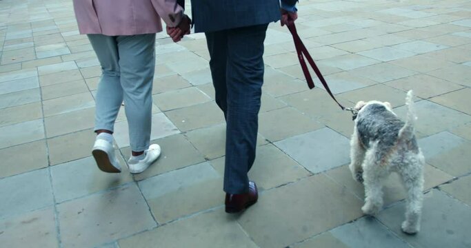 Mixed Race Homosexual Couple Walking Down A Street With Their Wire Fox Terrier In London, England.