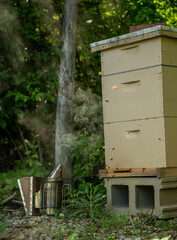 Bee Keeping