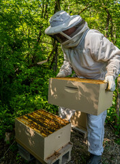 Bee Keeping
