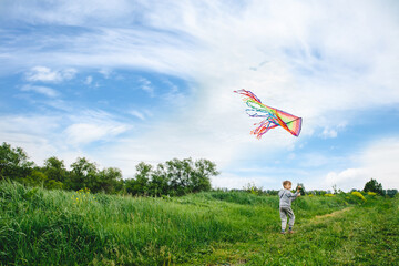 Cute white kid playing colorful kite outdoor at summer meadow or park. Color photography of caucasian young boy isolated at sunny blue sky and green field background