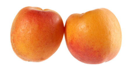 Two apricots isolated on a white background.