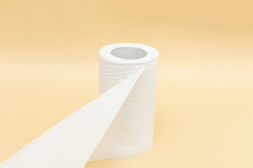 トイレットペーパー 衛生 清潔