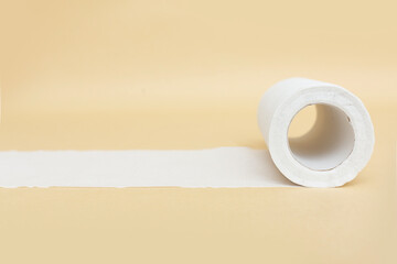 トイレットペーパー 衛生 清潔