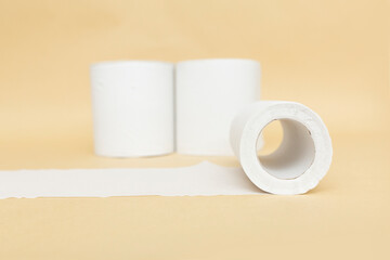 トイレットペーパー 衛生 清潔