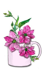 Creative composition with garden flowers. Pink clematis in a cup close-up on a white background. The theme of spring and summer. Illustration for print.