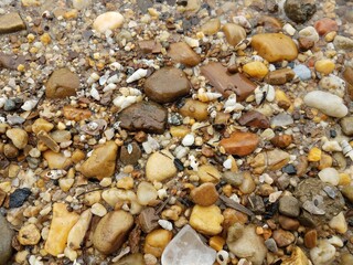 Fototapeta na wymiar water and stones or pebbles and shells at the beach
