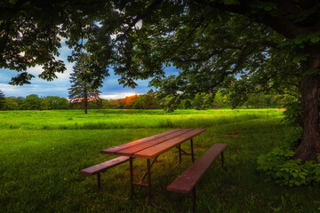 Picnic table in the woods at dusk