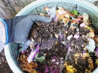 Obraz premium Handful of Compost