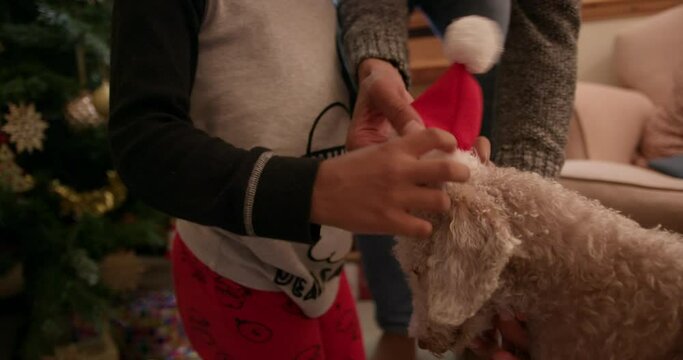 CU MS HANDHELD Family with son (6-7) playing with dogs wearing Christmas hats / Dinton, Wiltshire, UK