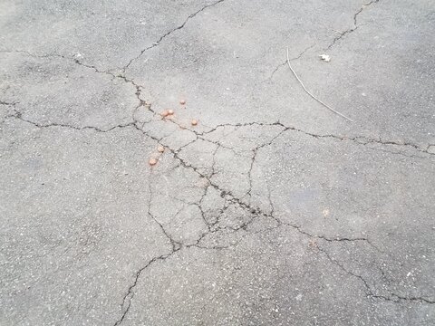 cracked or broken black asphalt or pavement