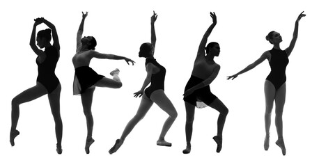 Silhouette of beautiful young ballerina on white background © Pixel-Shot