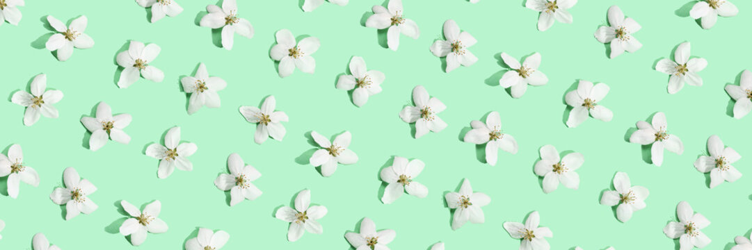 Apple tree floral pattern. Bright summer background. Spring white fruit flowers. Repeat spring texture. Creative trend composition. Many springtime elements. may layout. Horizontal banner. Green mint