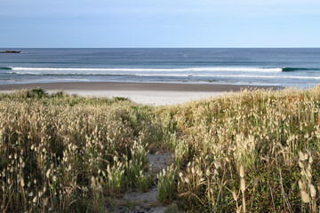 Great Barrier Island Medlands Beach