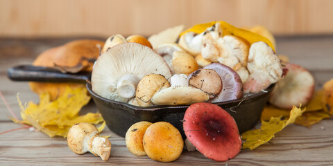 mushrooms on a table, selective focus