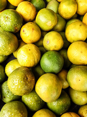 There are many yellow and green ripe seasonal lemons together. This fruit is very beneficial for health.