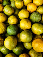 There are many yellow and green ripe seasonal lemons together. This fruit is very beneficial for health.