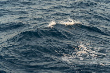 Sea wave in summer sunset light. Travel be sea. Nature background