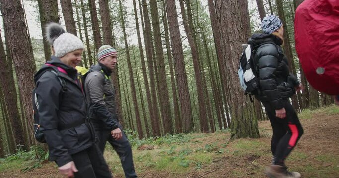 WS People with backpacks hiking in forest / Yorkshire Moors, Yorkshire, UK