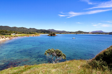 great barrier island