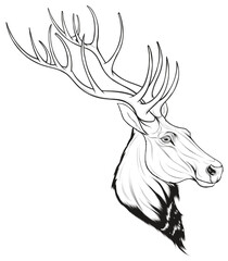 Head of a red deer with long antlers. Linear vector illustration for safari, wildlife tourism and element for new year’s design.