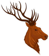 Head of a red deer with long antlers. Colored vector illustration for safari, wildlife tourism and element for new year’s design.