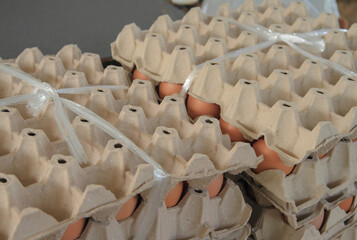 Obraz premium Fresh egg box prevent the eggs from breaking