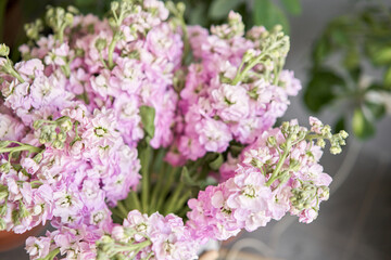 Bouquet of Beautiful lilac mattiola. Spring flowers in vase on wooden table. Flowers delivery.